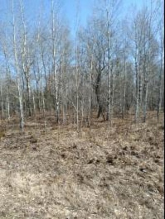 LOT 587 Wildwood Drive Elmira, MI 49730