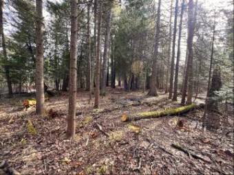 6 LOTS Rutherford Road Cheboygan, MI 49721