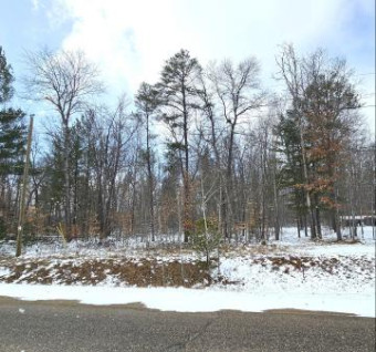 TBD Bear Lake Road LOTS 11 & 12 Johannesburg, MI 49751