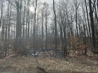 Gingell Road 10 ACRES Johannesburg, MI 49751