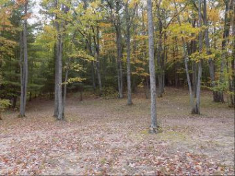 Sorensen Road PARCEL M Hillman, MI 49746