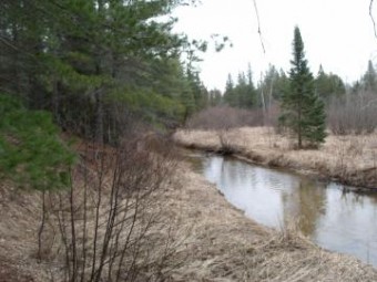 Spikehorn Trail PARCEL 18 Indian River, MI 49749