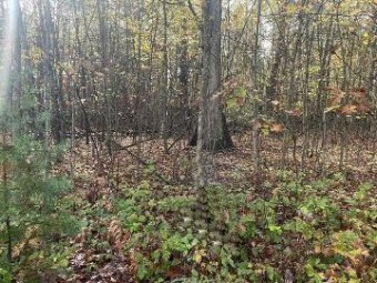 LOT 29 Hidden Hills Houghton Lake, MI 48629