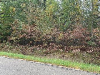 LOT 42 Hidden Hills Houghton Lake, MI 48629