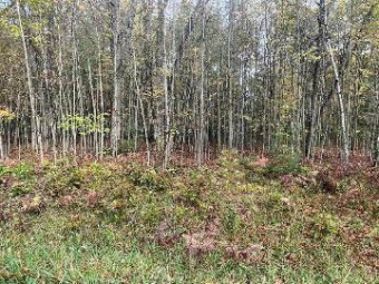 LOT 50 Hidden Hills Houghton Lake, MI 48629