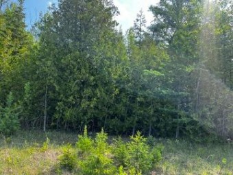 LOT 14 E Grand Lake Road Presque Isle, MI 49777