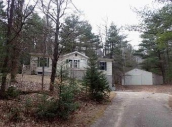 15780 Riverside Trail Wolverine, MI 49799