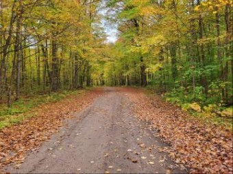 Mt. Frederick Road 10 ACRES Gaylord, MI 49735