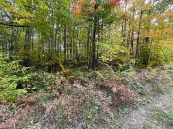 LOT 10 Fairway Drive Roscommon, MI 48653