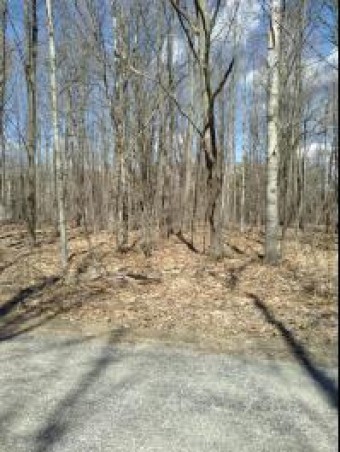 LOT 69 Louise Circle Elmira, MI 49730