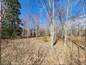 LOT 1829 Sandpiper Trail Gaylord, MI 49735