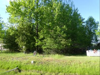 2951 Noralin Drive LOT #3 Alpena, MI 49707