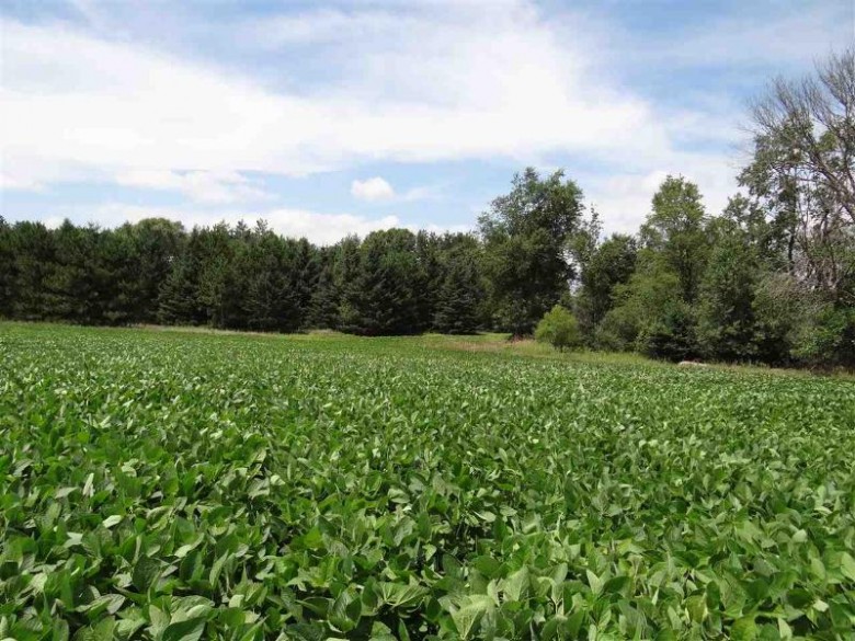 125 ACRES County Road G Pardeeville, WI 53954 by Pifer'S Auction & Realty $299,500