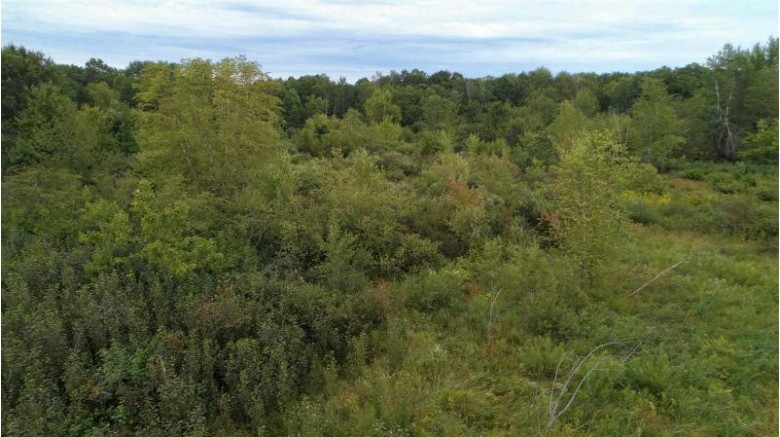 72.68 AC 10th Ave, Hancock, WI by United Country Midwest Lifestyle Properties $127,190