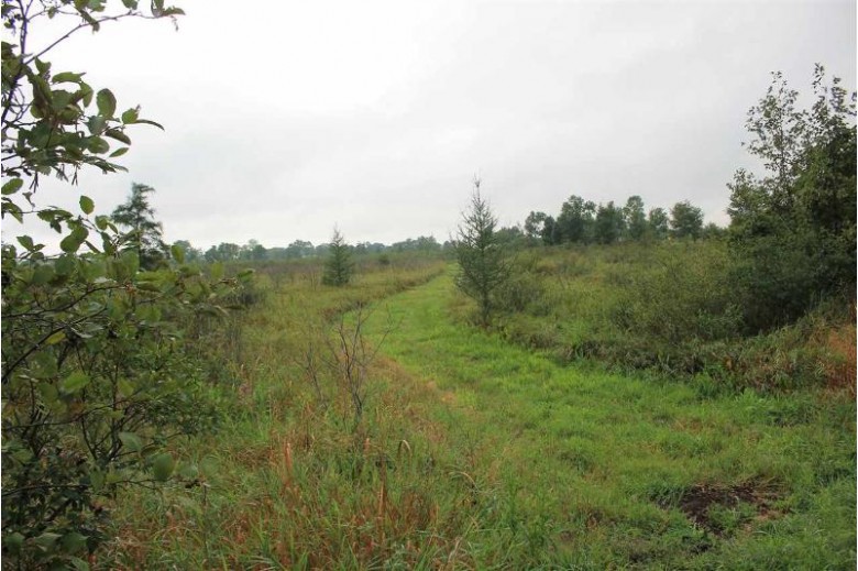 Hwy 21, Berlin, WI by Whitetail Properties Real Estate, LLC $239,900