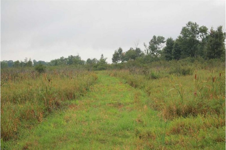 Hwy 21, Berlin, WI by Whitetail Properties Real Estate, LLC $239,900