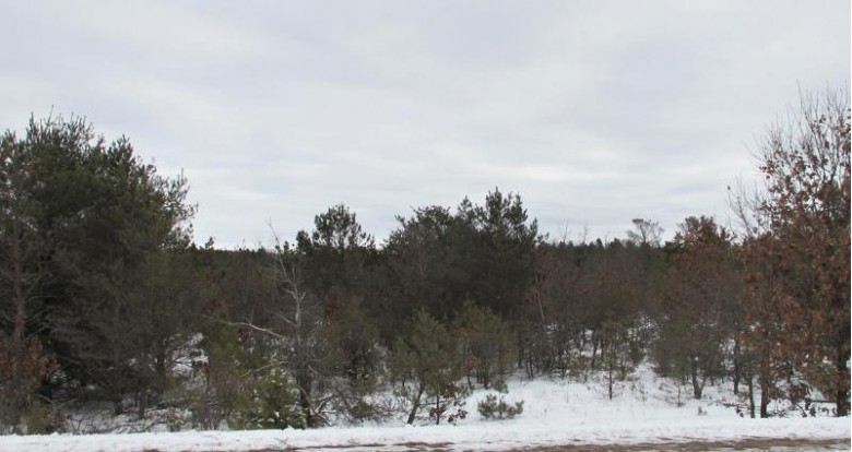 Hwy Ch Coloma, WI 54930 by First Choice Realty, Inc. $52,500