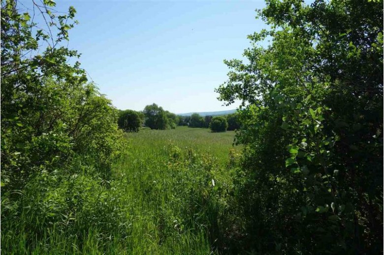 9.72 ACRES Waldo St, Baraboo, WI by First Weber Real Estate $199,000