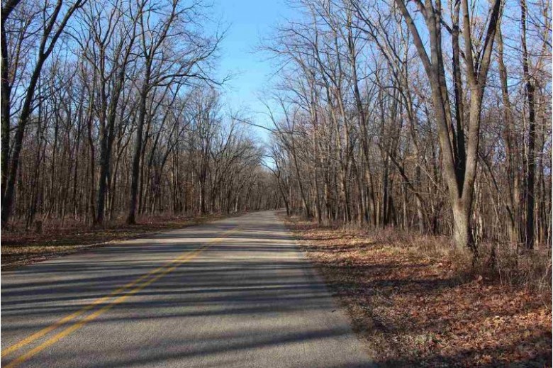 44.24 AC County Road Y Mineral Point, WI 53533 by All American Real Estate, Llc $352,000