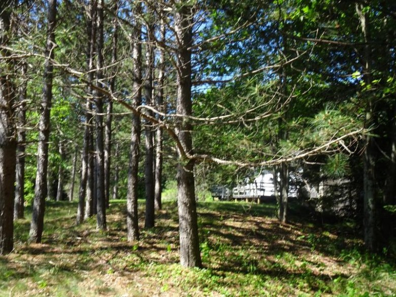 6632 Swamsauger Heights Rd, Minocqua, WI by First Weber Real Estate $289,000