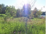LOT1 Central Ave N, Crandon, WI by Century 21 Northwoods Team $60,000