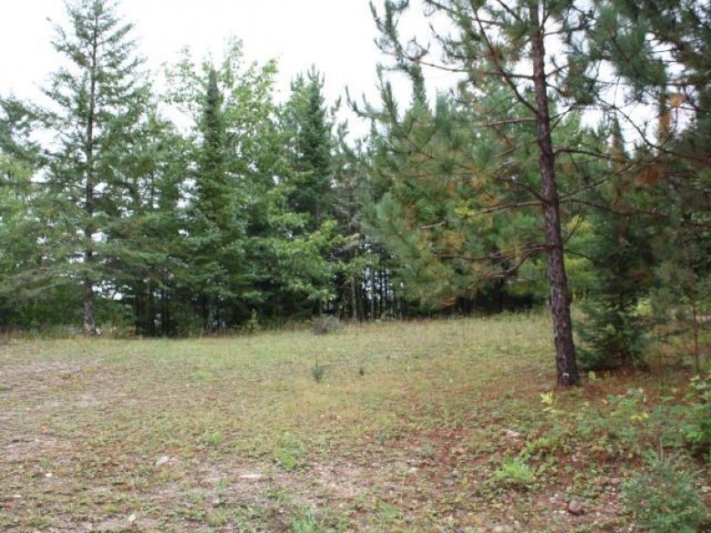 ON Dallmann Dr 160-3 Minocqua, WI 54564 by First Weber Real Estate $75,000