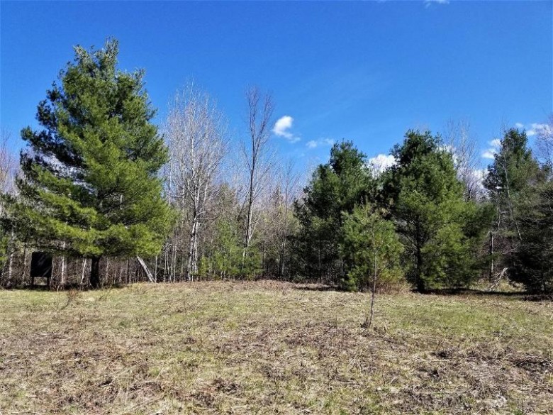 14282N State Line Rd Kimball, WI 54534 by Re/Max Action North $83,900