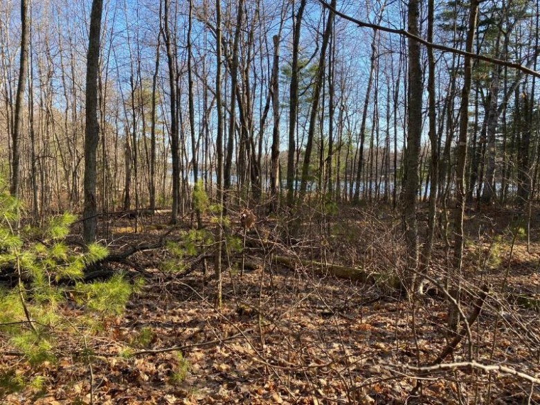 LOT 12 Duner Point Ln Lac Du Flambeau, WI 54538 by Redman Realty Group, Llc $129,900