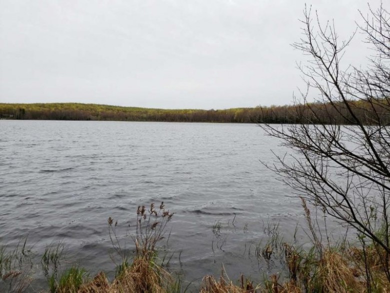 10.8 AC. Loon-A-Tic Ln Nashville, WI 54520 by Century 21 Northwoods Team $84,900