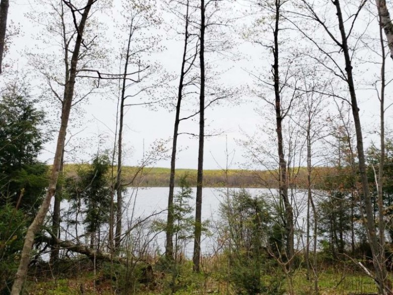 10.8 AC. Loon-A-Tic Ln Nashville, WI 54520 by Century 21 Northwoods Team $84,900