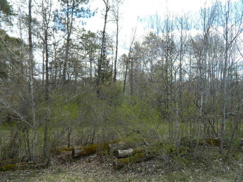 ON Cth G LOT 3 & 4 Ojibwa, WI 54896 by Birchland Realty, Inc. - Phillips $74,500