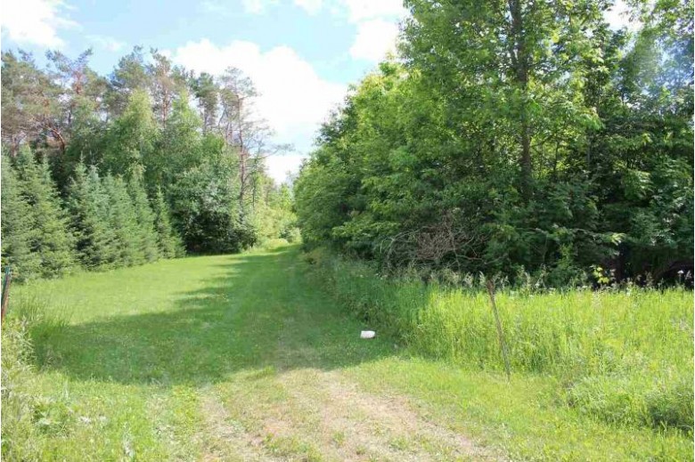 W14749 Spruce Road, Birnamwood, WI by Whitetail Dreams Real Estate, LLC $110,000