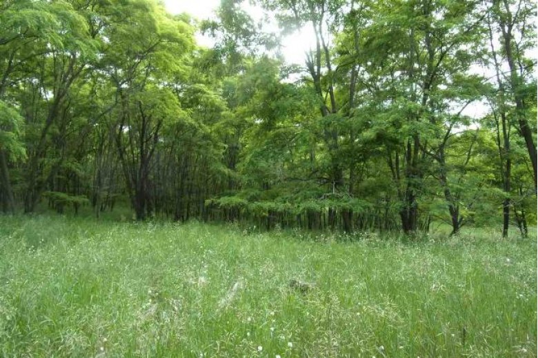 35 AC County Road Cm, Pardeeville, WI by Realty Solutions $255,000