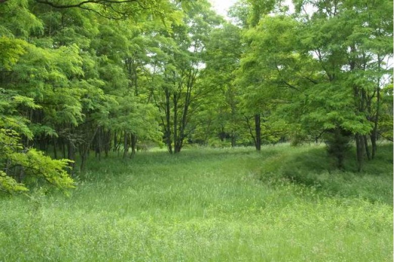 35 AC County Road Cm Pardeeville, WI 53954 by Realty Solutions $255,000