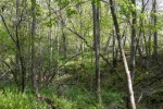 0000 Knight Hollow Rd, Arena, WI by Midwest Land Group Llc $199,000