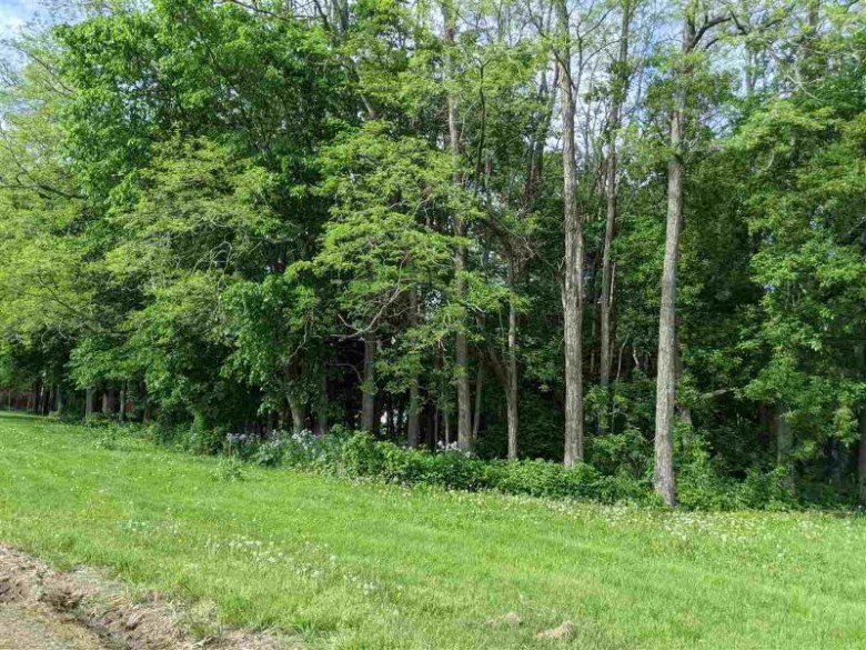 LOT 1 Deansville Rd, Marshall, WI by Stark Company, Realtors $115,000