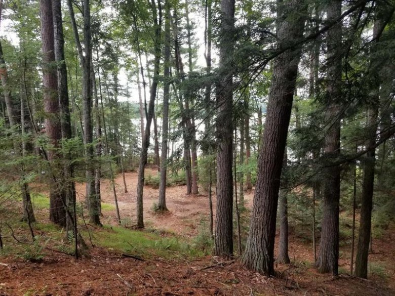 LOT 44 Pine Crest Colony E St. Germain, WI 54558 by Redman Realty Group, Llc $315,000