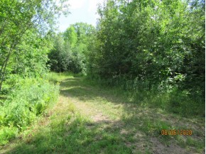 ON French Shanty Rd 84 ACRES
