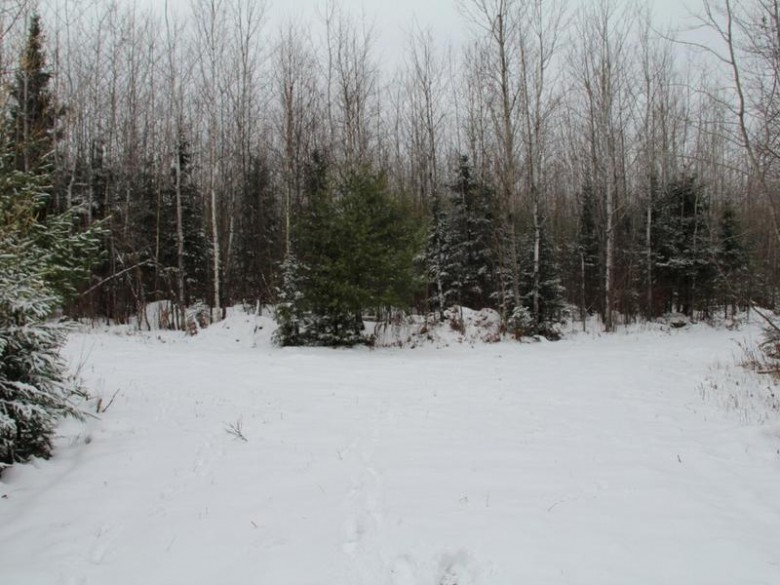 ON Lake Of The Falls Rd 120 ACRES Mercer, WI 54547 by First Weber Real Estate $159,000