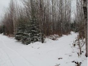 ON Lake Of The Falls Rd 120 ACRES