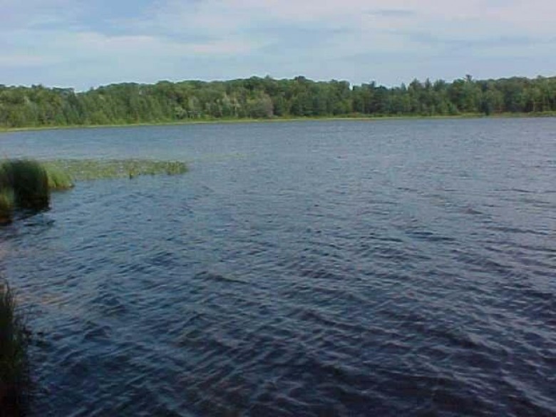 ON Bolton Lake Ln N Lac Du Flambeau, WI 54538 by Redman Realty Group, Llc $69,900