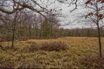 5.34 ACRES Trout Rd Wisconsin Dells, WI 53965 by Cold Water Realty, Llc $64,000