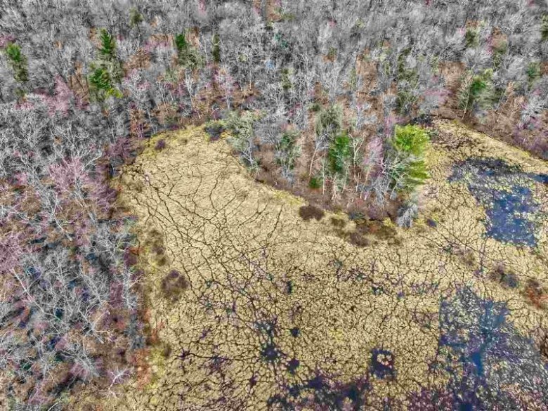5.34 ACRES Trout Rd Wisconsin Dells, WI 53965 by Cold Water Realty, Llc $64,000