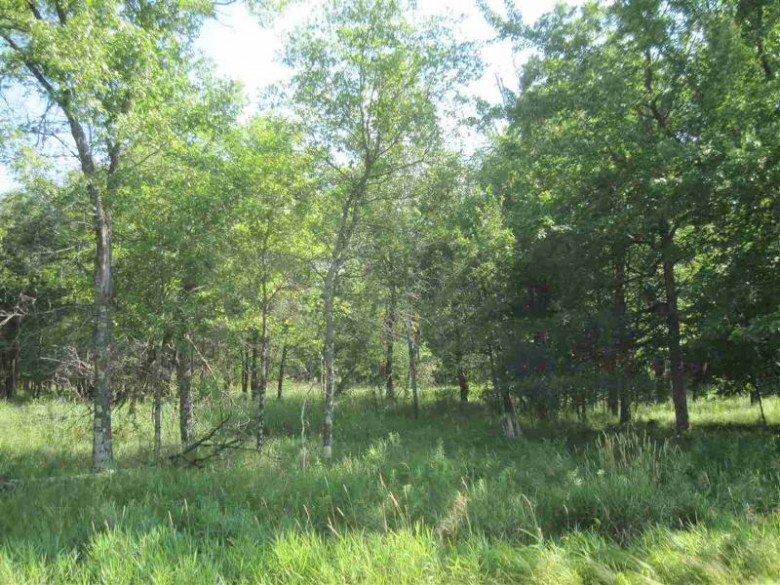 39+ ACRES County Road O Hancock, WI 54943 by Whitemarsh Realty Llc $105,000