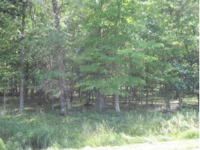 39+ ACRES County Road O
