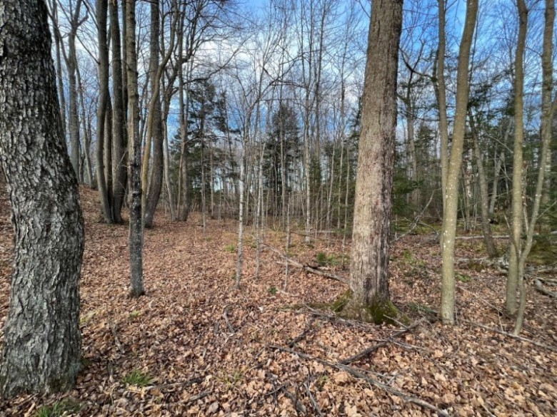 32.52 ACRES County Road N, Birnamwood, WI by First Weber Real Estate $115,000