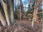 32.52 ACRES County Road N, Birnamwood, WI by First Weber Real Estate $115,000