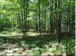 ON Wool Lake Ln LOT 8 Boulder Junction, WI 54512 by Re/Max Property Pros-Minocqua $159,900