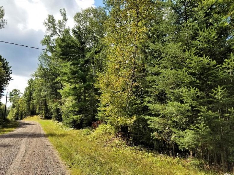 PARCEL 2 Wilson Lake Circle East Mercer, WI 54547 by Re/Max Action North $87,000
