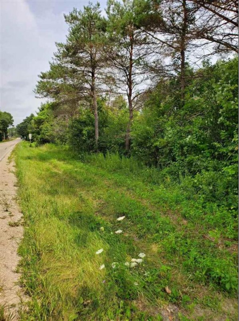 Hwy E, Redgranite, WI by First Weber Real Estate $55,000